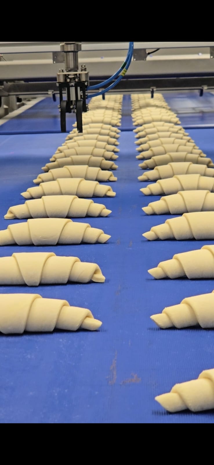 Croissant e Massa Folhada